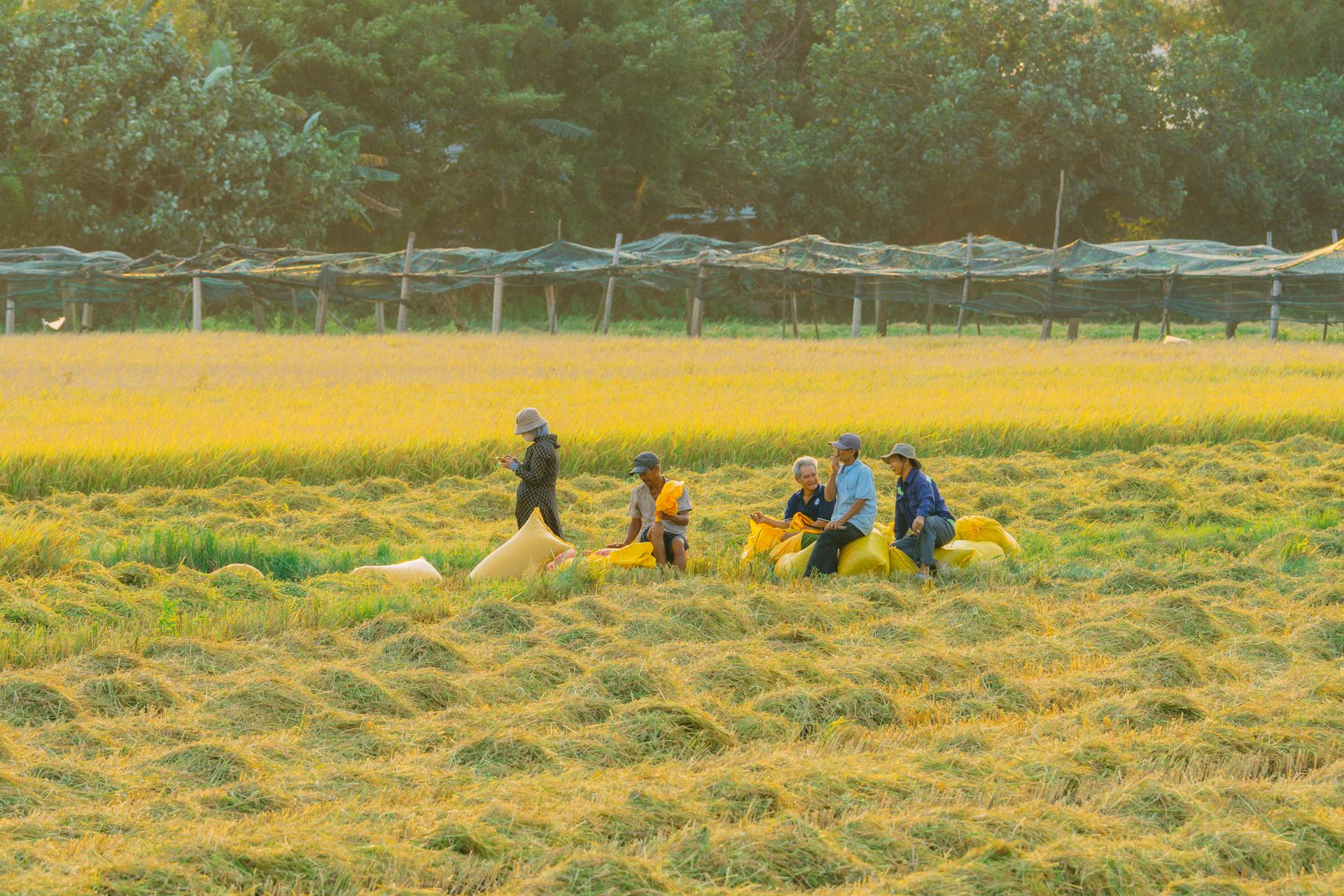 Immerse in Vietnam’s vibrant cultural heritage